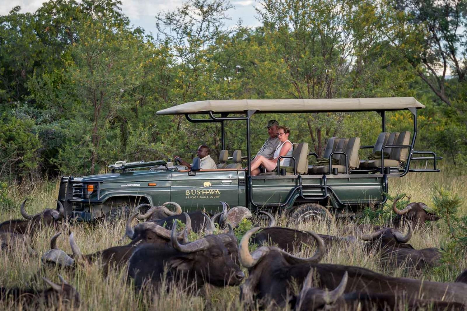 Bushwa Private Game Lodge 法尔瓦特 外观 照片