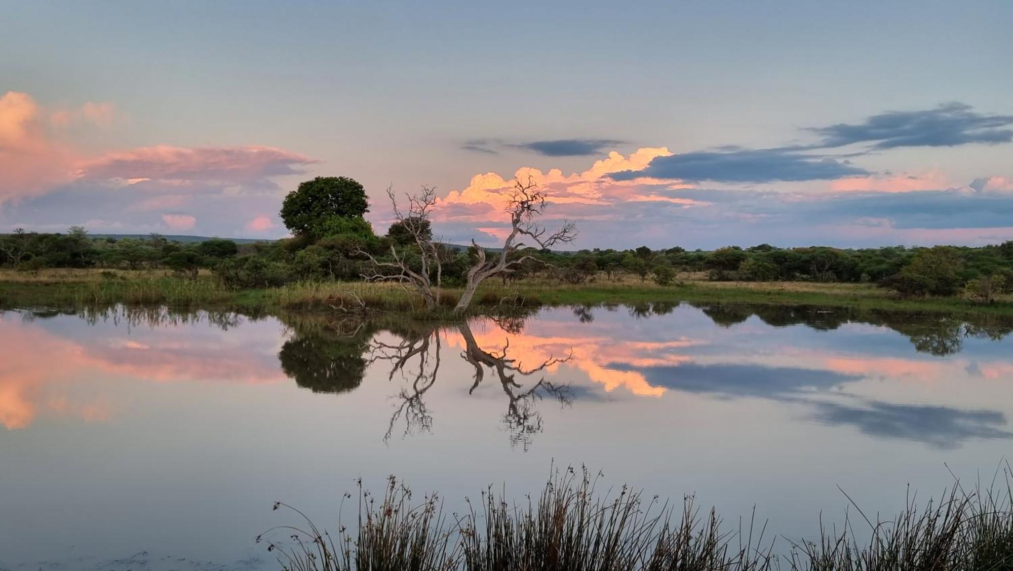 Bushwa Private Game Lodge 法尔瓦特 外观 照片