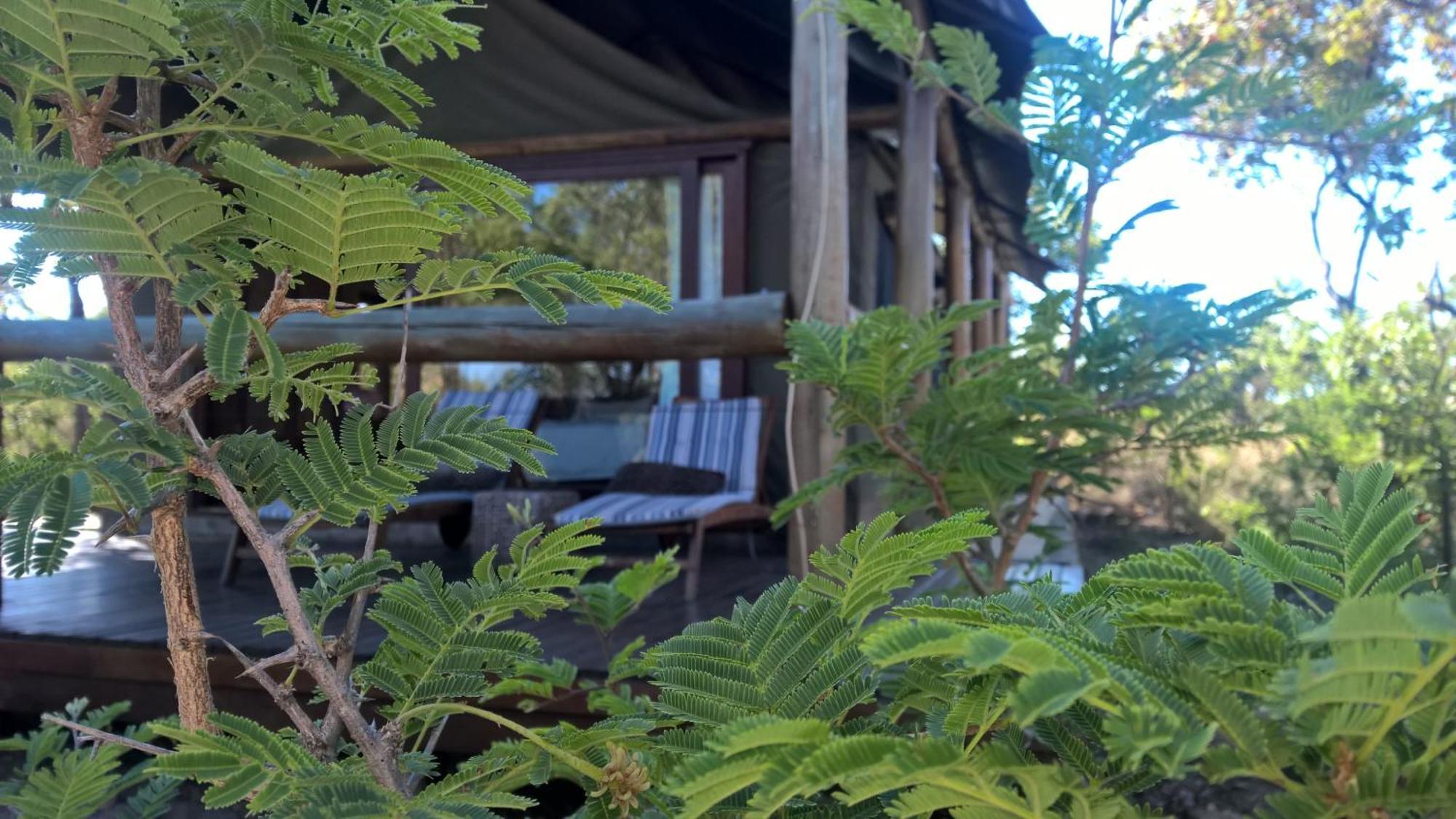 Bushwa Private Game Lodge 法尔瓦特 外观 照片